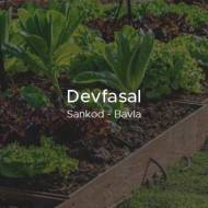 devfasal
